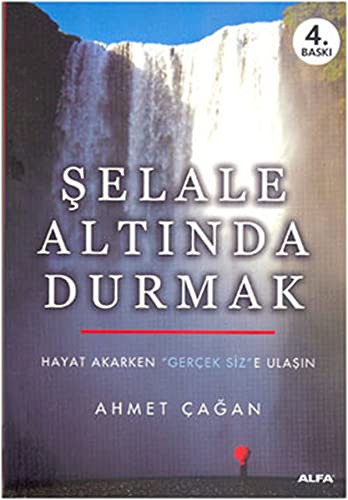 Şelale Altında Durmak & hayat Akarken Gerçek Size Ulaşın kitap kapağı