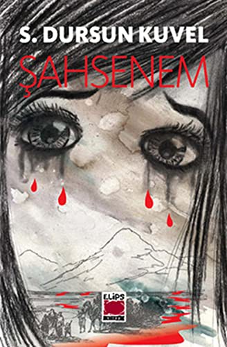 Şahsenem kitap kapağı