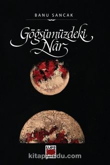 Göğsümüzdeki Nar kitap kapağı