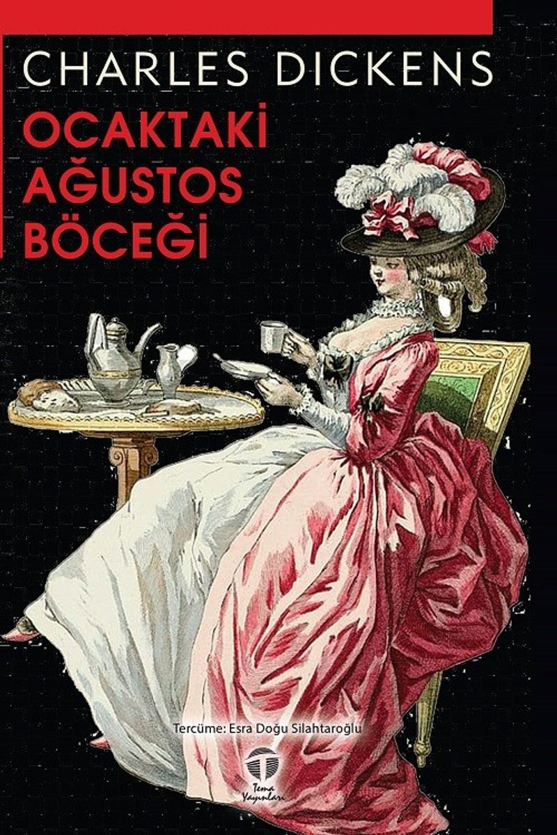 Ocaktaki Ağustos Böceği kitap kapağı