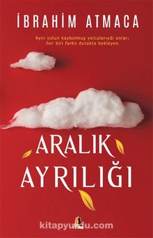 Aralık Ayrılığı kitap kapağı