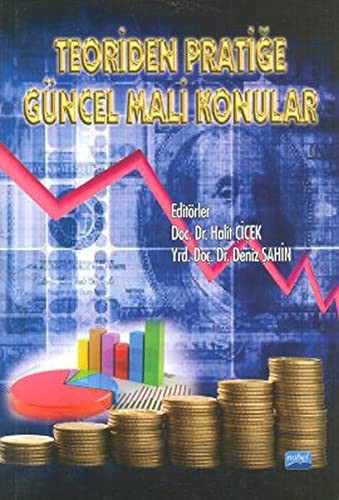 Teoriden Pratiğe Güncel Mali Konular kitap kapağı