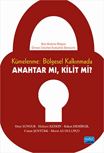 Kümelenme: Bölgesel Kalkınmada Anahtar mı? Kilit mi? kitap kapağı