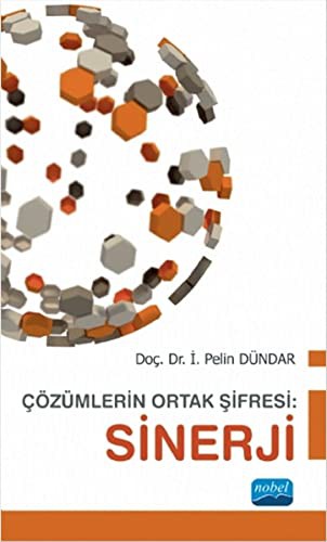 Çözümlerin Ortak Şifresi: Sinerji kitap kapağı