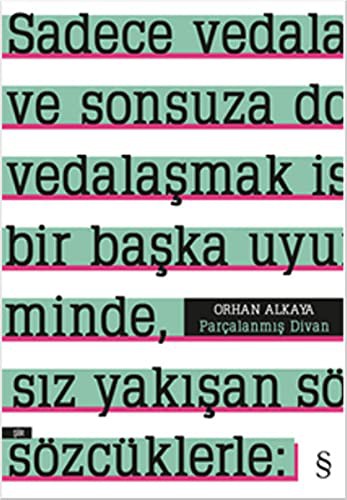 Parçalanmış Divan kitap kapağı