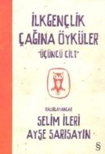 İlk Gençlik Çağına Öyküler-3 kitap kapağı