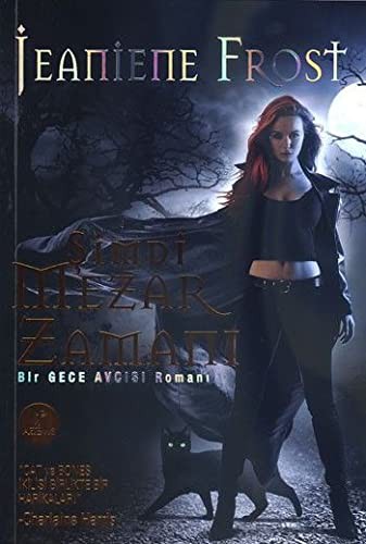 Şimdi Mezar Zamanı / Bir Gece Avcısı Romanı kitap kapağı