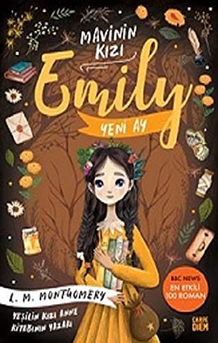 Yeni Ay - Mavinin Kızı Emily 1 kitap kapağı