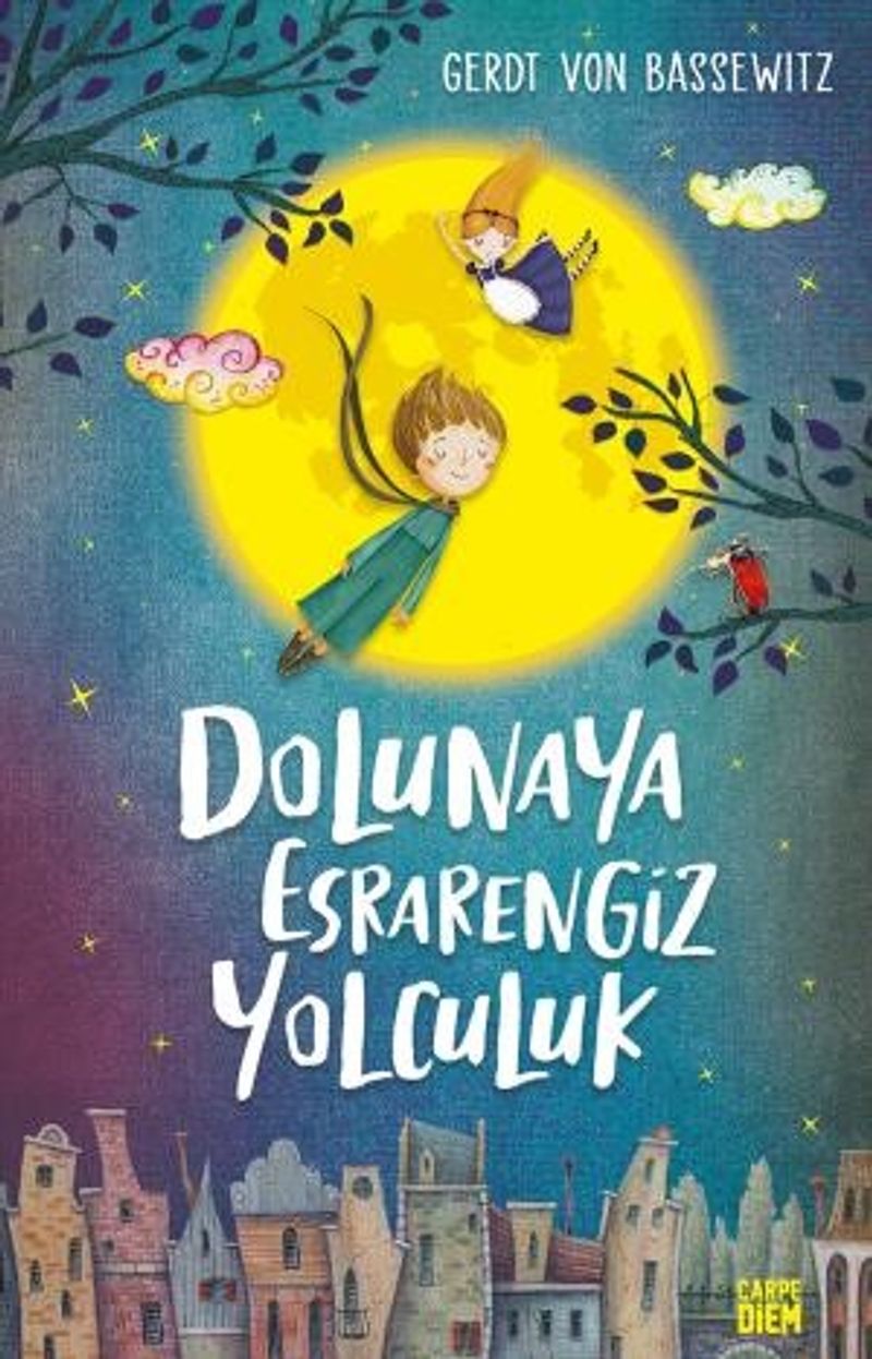 Dolunaya Esrarengiz Yolculuk kitap kapağı