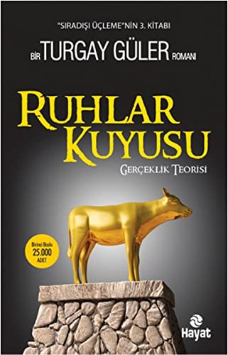 Ruhlar Kuyusu - Gerçeklik Teorisi kitap kapağı