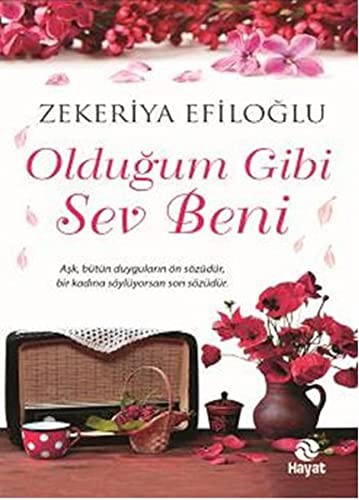 Olduğum Gibi Sev Beni kitap kapağı