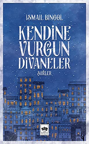Kendine Vurgun Divaneler kitap kapağı
