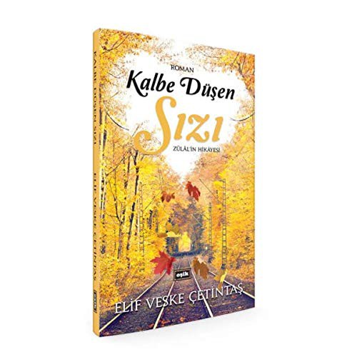 Kalbe Düşen Sızı kitap kapağı