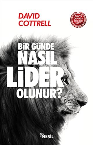 Bir Günde Nasıl Lider Olunur? kitap kapağı