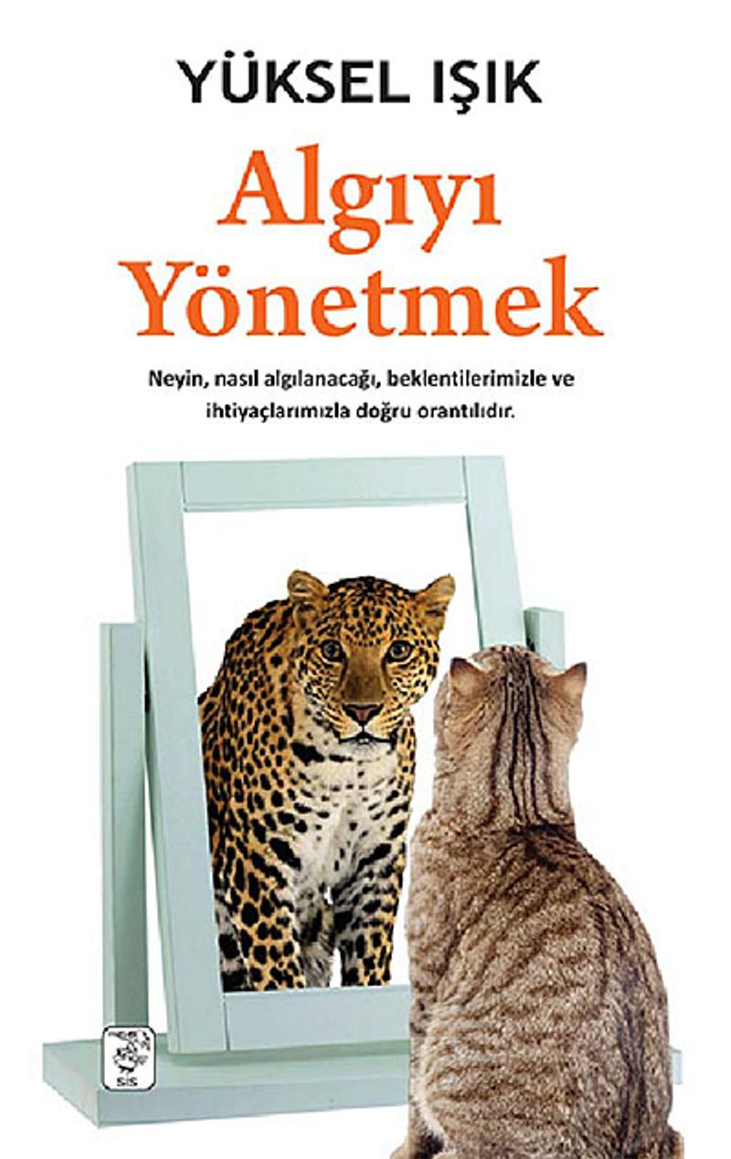 Algıyı Yönetmek kitap kapağı