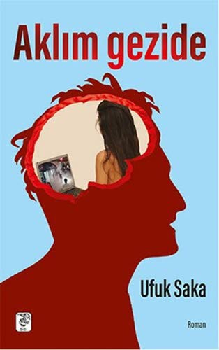 Aklım Gezide kitap kapağı