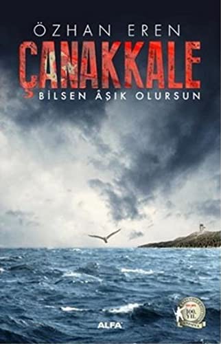 Çanakkale & Bilsen Aşık Olursun kitap kapağı