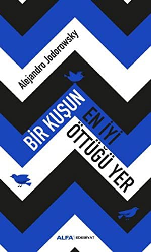 Bir Kuşun En İyi Öttüğü Yer kitap kapağı