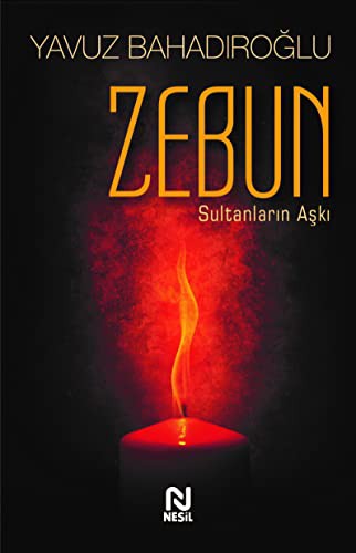 Zebun & Sultanların Aşkı kitap kapağı
