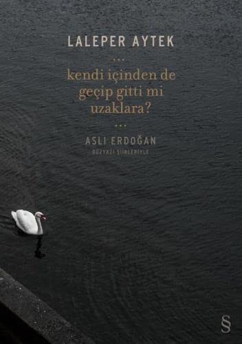 Kendi İçinden de Geçip Gitti Mi Uzaklara? kitap kapağı