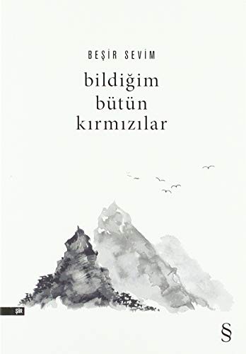 Bildiğim Bütün Kırmızılar kitap kapağı
