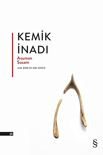 Kemik İnadı kitap kapağı