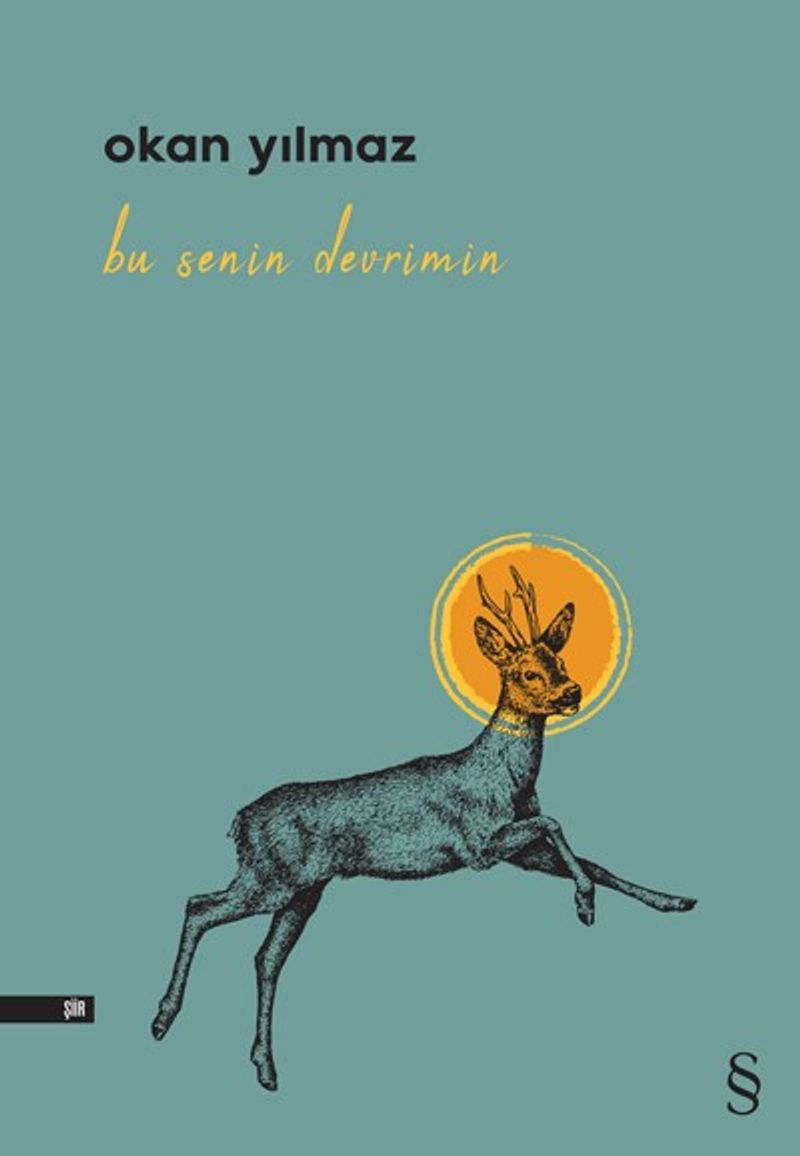 Bu Senin Devrimin kitap kapağı
