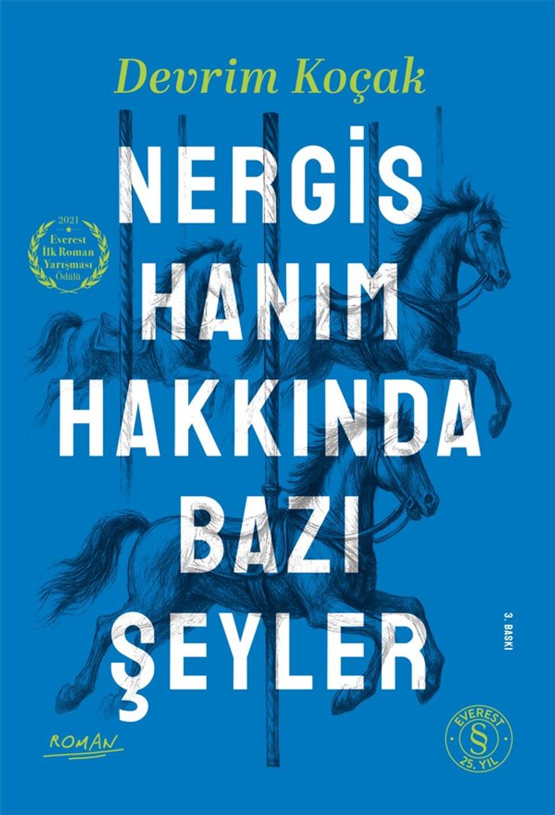 Nergis Hanım Hakkında Bazı Şeyler kitap kapağı