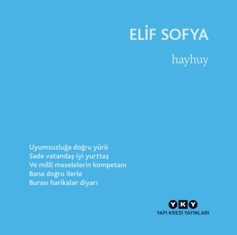 Hayhuy kitap kapağı
