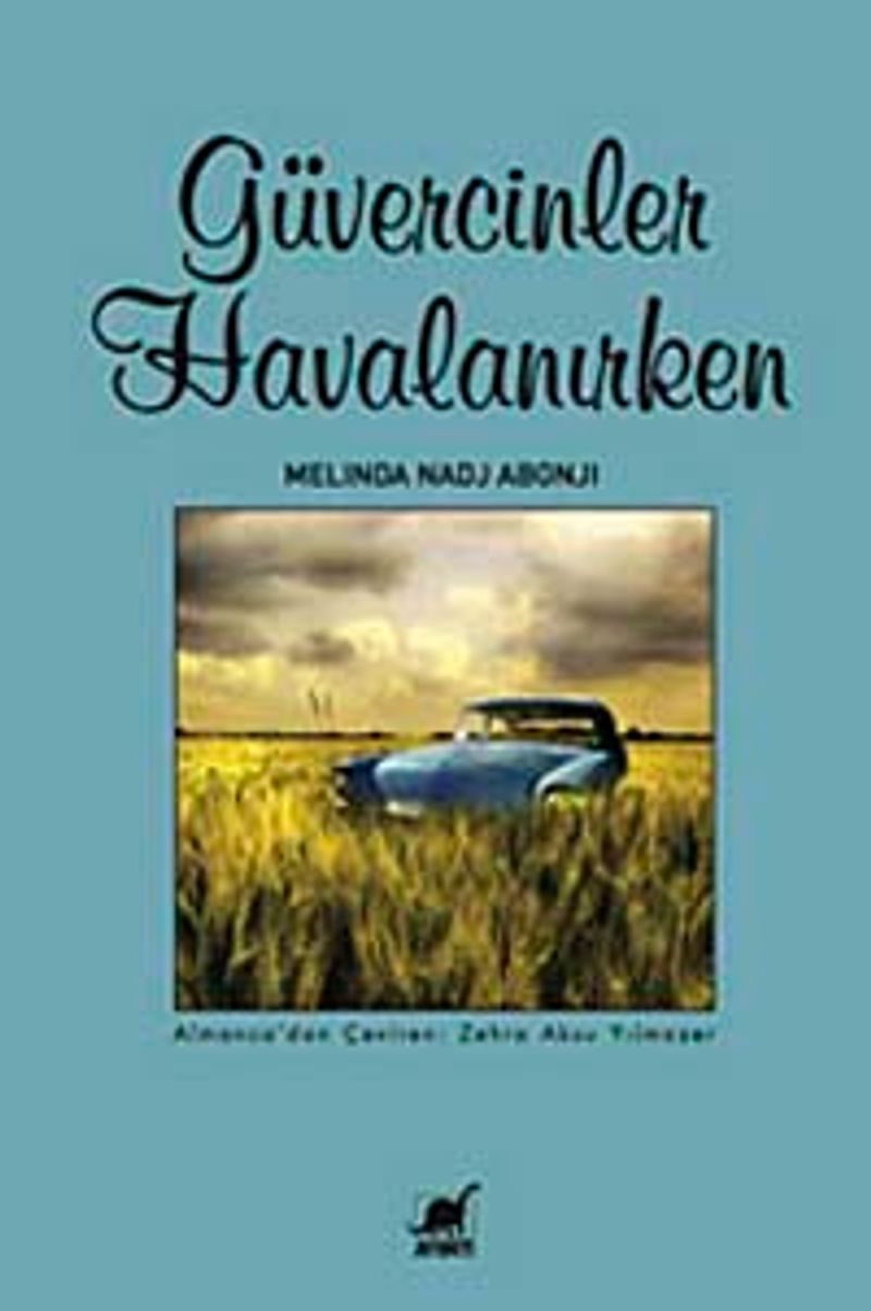 Güvercinler Havalanırken kitap kapağı