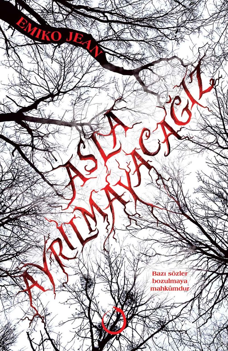 Asla Ayrılmayacağız kitap kapağı