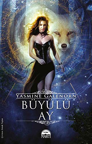 Büyülü Ay kitap kapağı