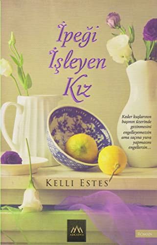 İpeği İşleyen Kız kitap kapağı