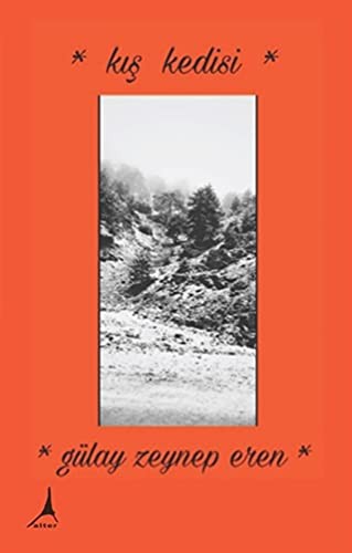 Kış Kedisi kitap kapağı