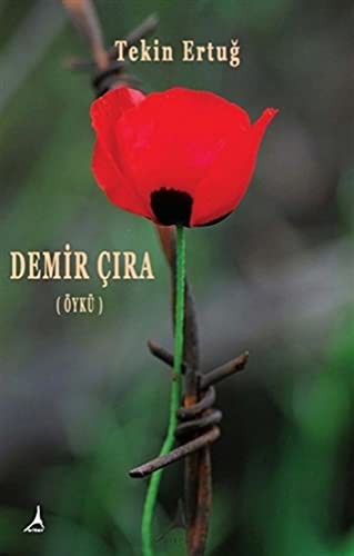 Demir Çıra kitap kapağı