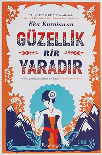 Güzellik Bir Yaradır kitap kapağı