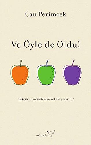 Ve Öyle de Oldu kitap kapağı