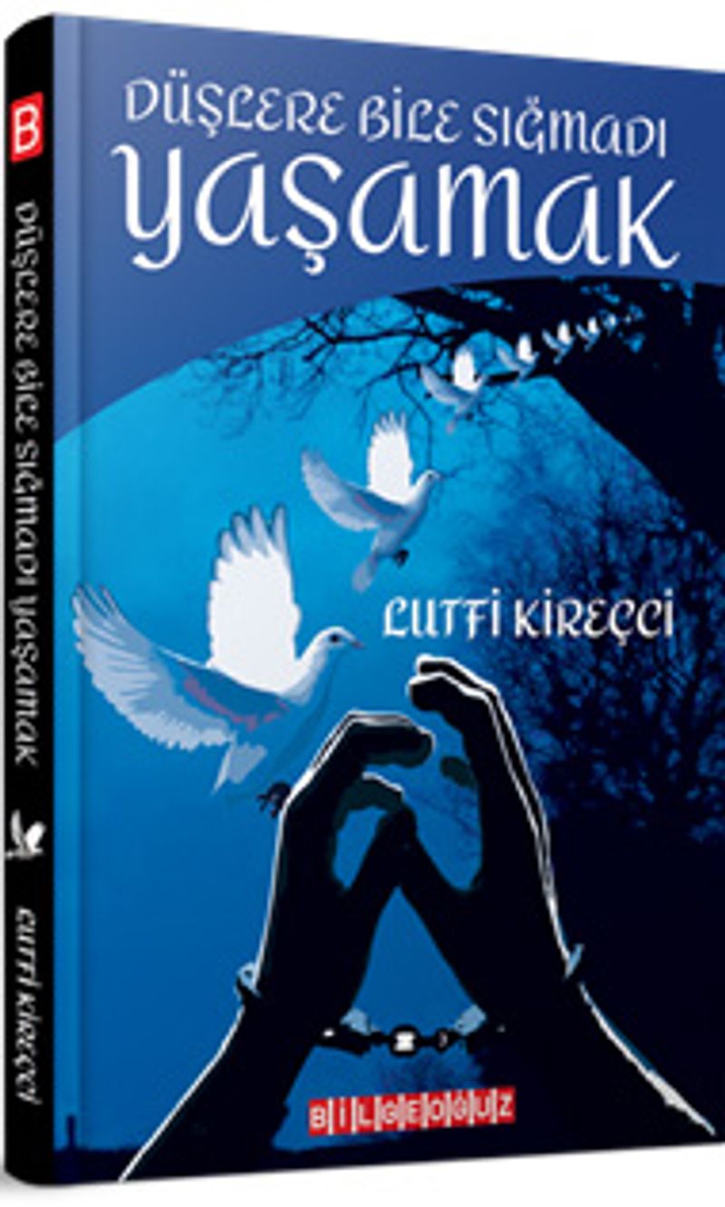 Düşlere Bile Sığmadı Yaşamak kitap kapağı