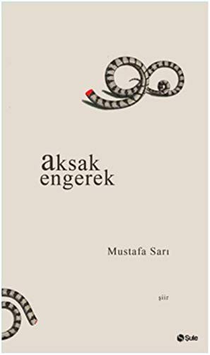Aksak Engerek kitap kapağı