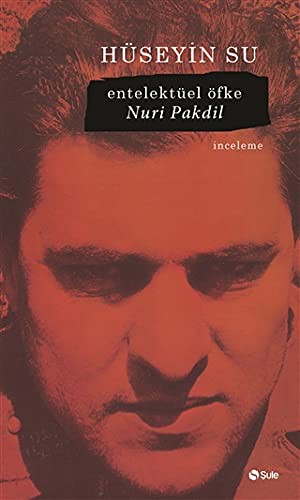 Entelektüel Öfke kitap kapağı