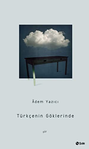 Türkçenin Göklerinde kitap kapağı