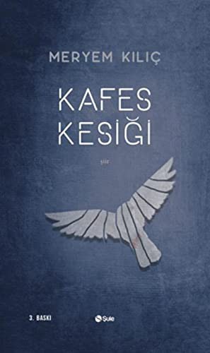 Kafes Kesiği kitap kapağı