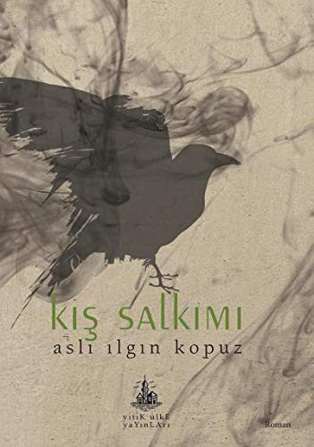 Kış Salkımı kitap kapağı