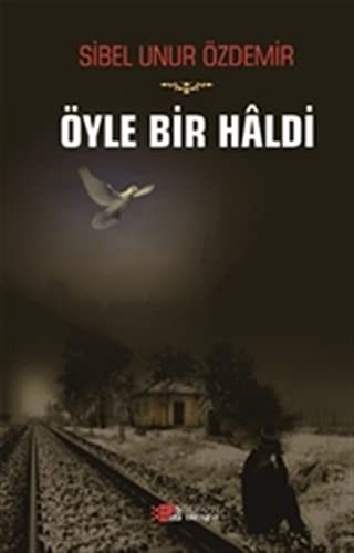 Öyle Bir Haldi kitap kapağı