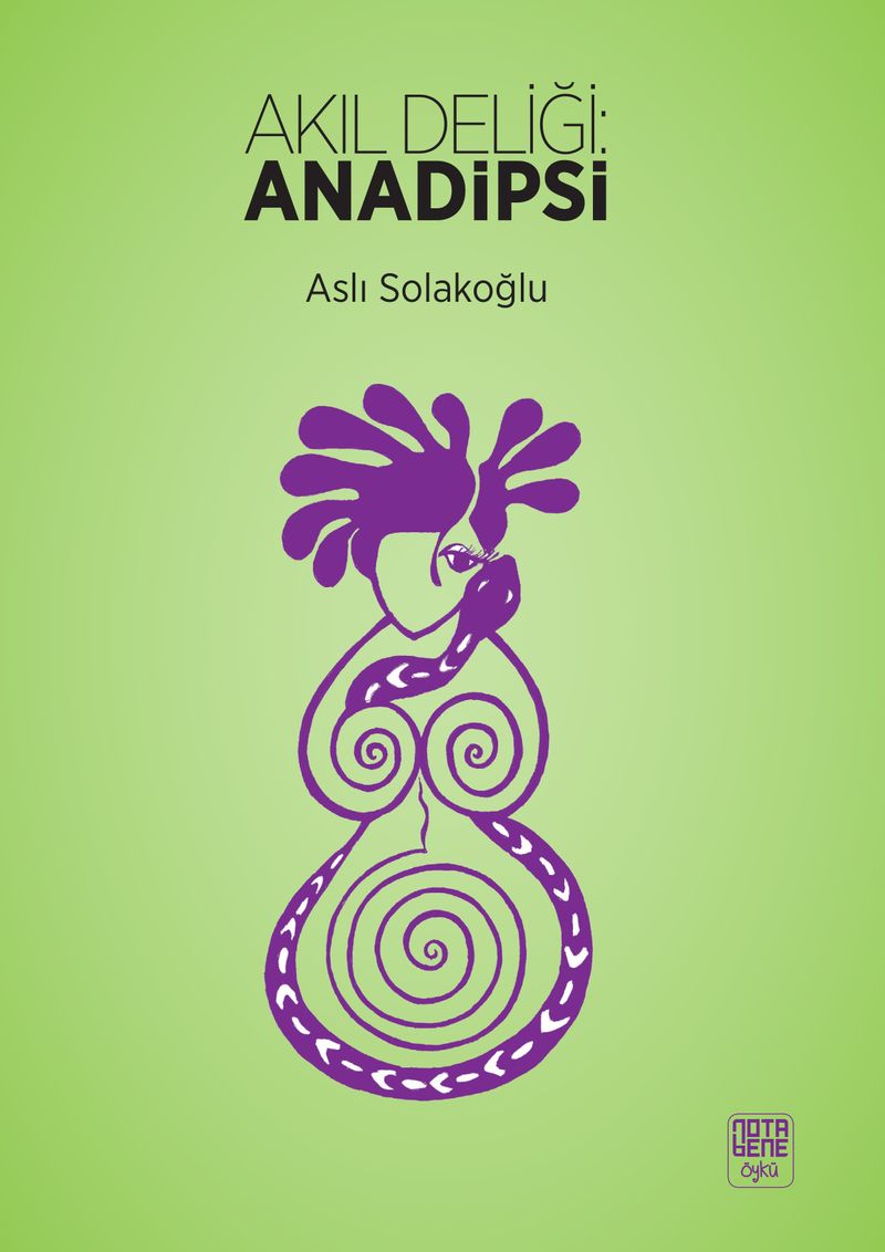 Akıl Deliliği: Anadipsi kitap kapağı