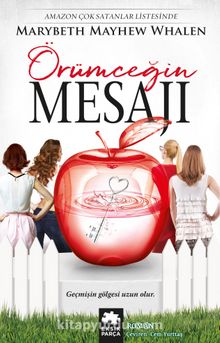 Örümceğin Mesajı kitap kapağı