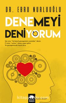 Denemeyi Deniyorum kitap kapağı