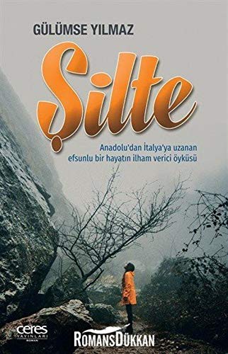 Şilte kitap kapağı
