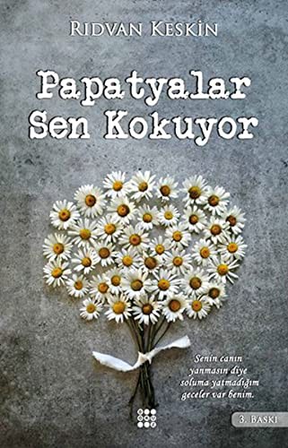 Papatyalar Sen Kokuyor kitap kapağı