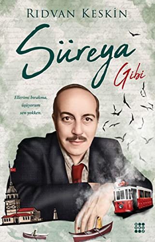 Süreya Gibi kitap kapağı